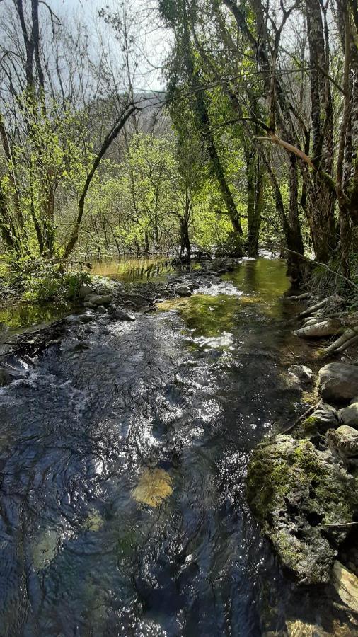 Petite Maison De Village Situee Entre Lacs, Cascades Et Montagnes Virieu-le-Grand Экстерьер фото